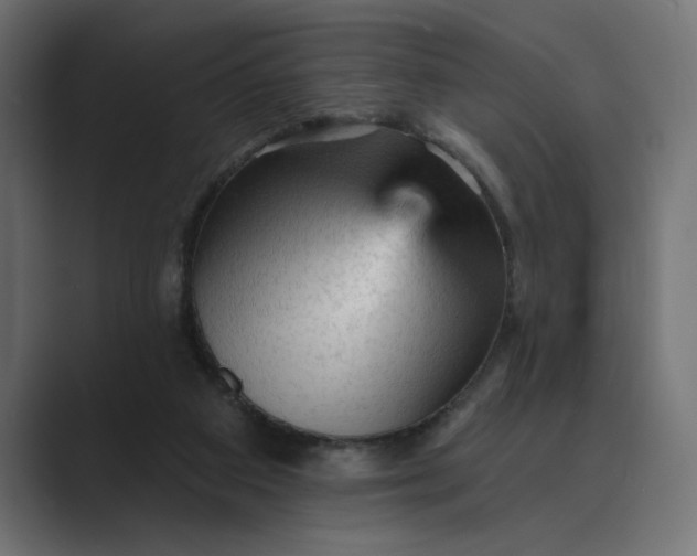 X0000089380113200706291324