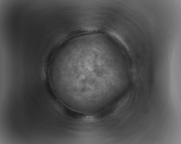 X0000089380114200706291324