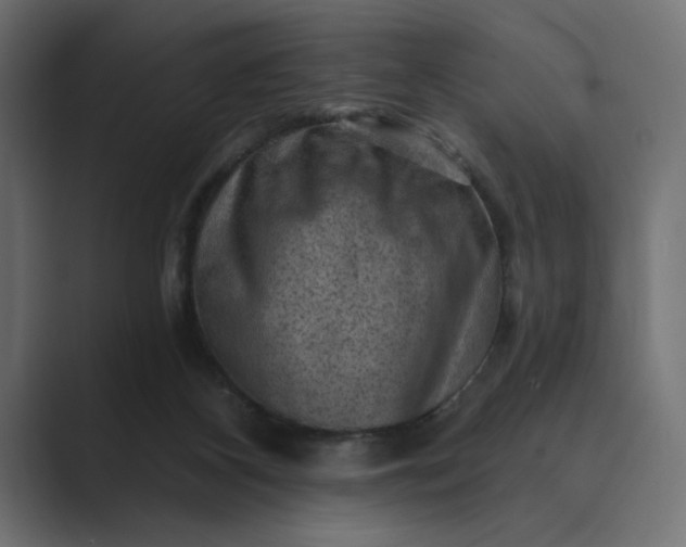 X0000089380116200706291324