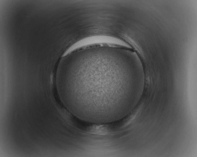 X0000089380117200706291324