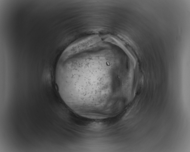 X0000089380119200706291323