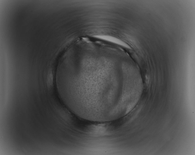 X0000089380120200706291323