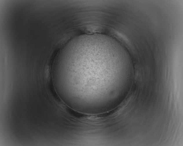 X0000089380121200706291323