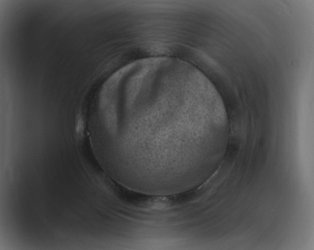 X0000089380124200706291323