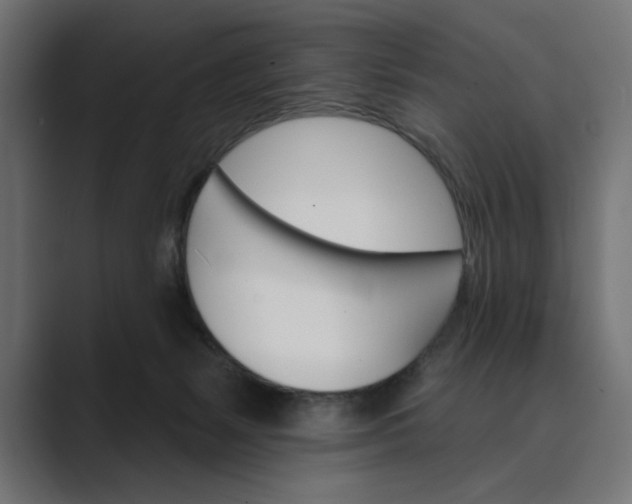 X0000089380127200706291323