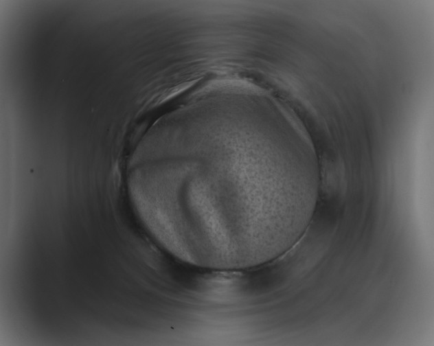 X0000089380128200706291323