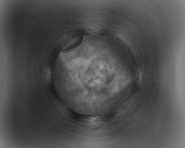 X0000089380130200706291323