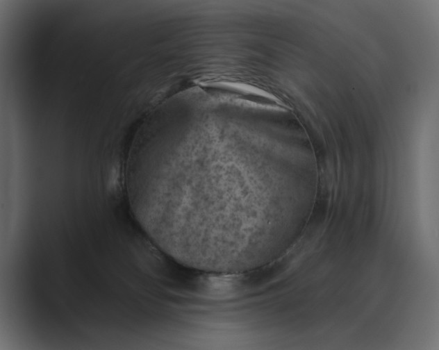 X0000089380134200706291323