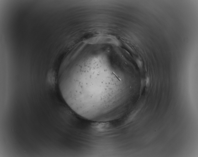 X0000089380135200706291323