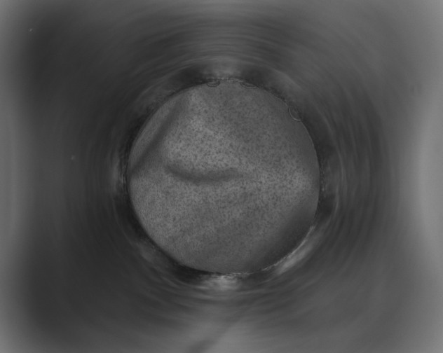 X0000089380140200706291323