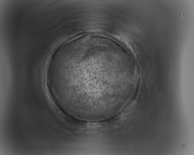 X0000089380145200706291323