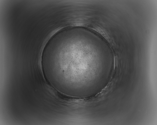 X0000089380147200706291323
