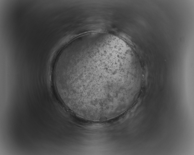 X0000089380149200706291323