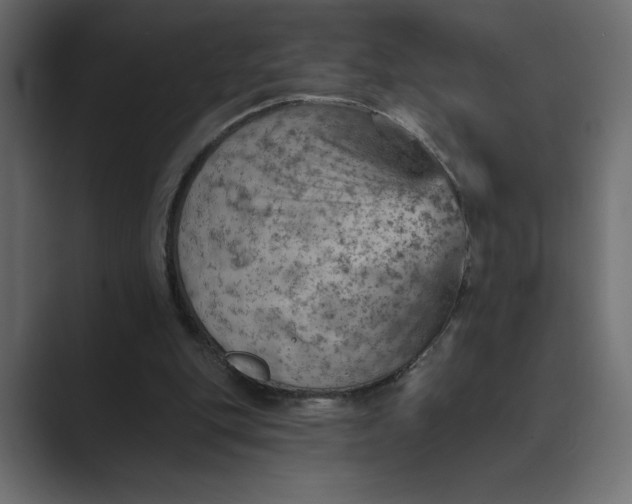 X0000089380151200706291323