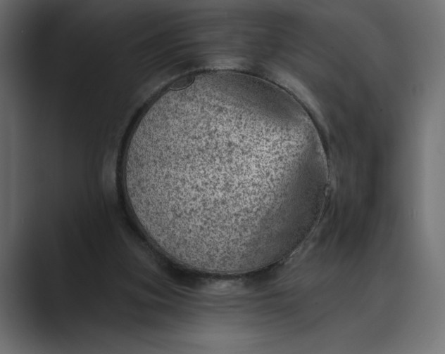 X0000089380155200706291323