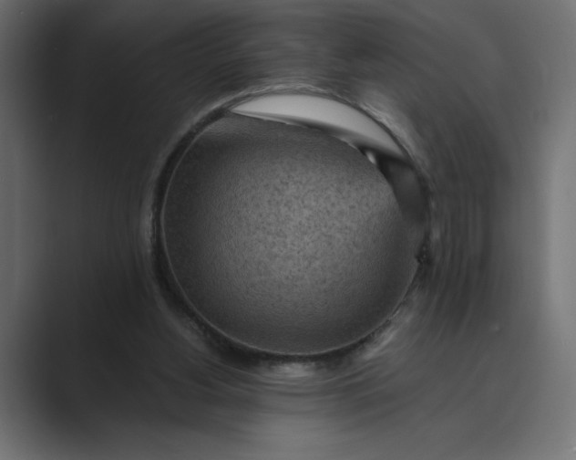 X0000089380156200706291323