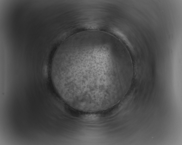 X0000089380161200706291323