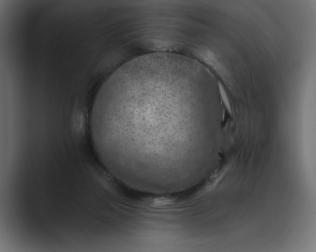 X0000089380165200706291323