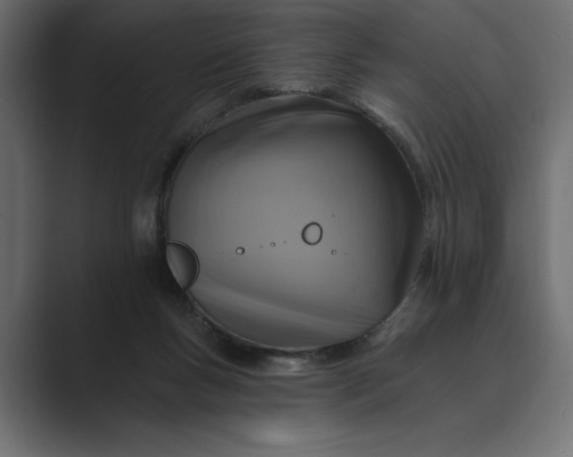 X0000089380167200706291323