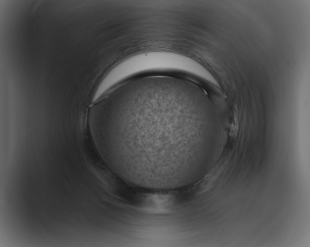 X0000089380168200706291323