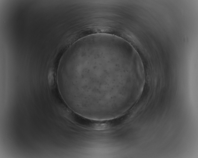 X0000089380169200706291323