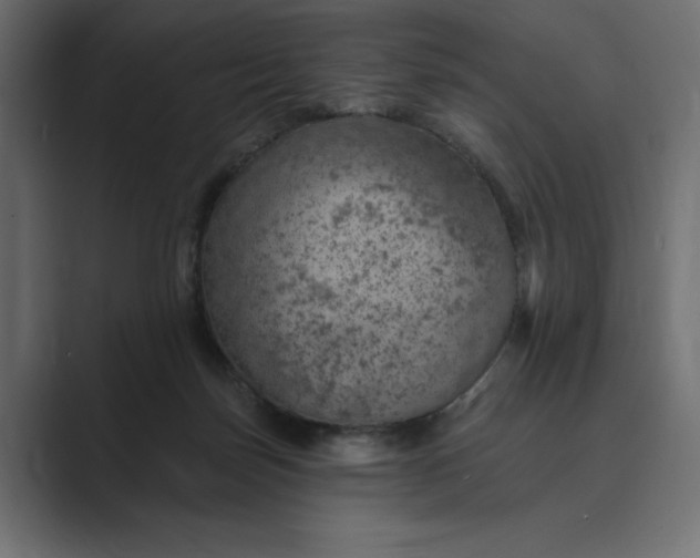 X0000089380171200706291323