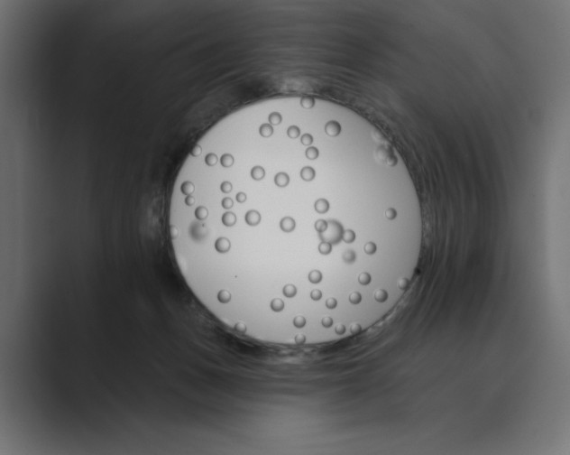 X0000089380175200706291323