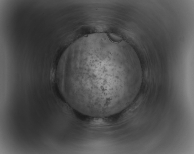 X0000089380177200706291323