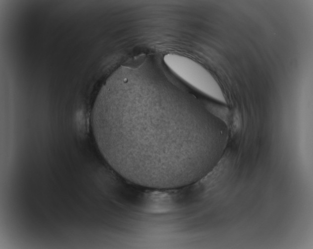 X0000089380180200706291323