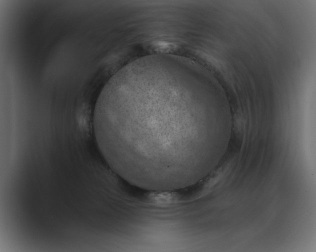X0000089380181200706291323