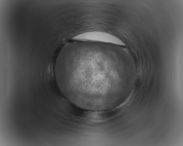 X0000089380182200706291323