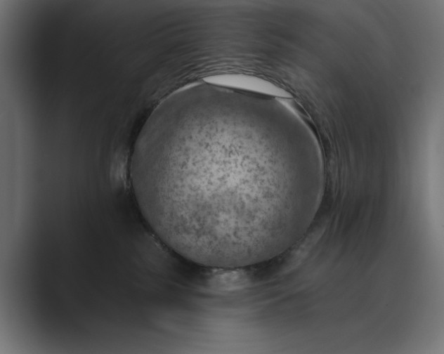 X0000089380185200706291323