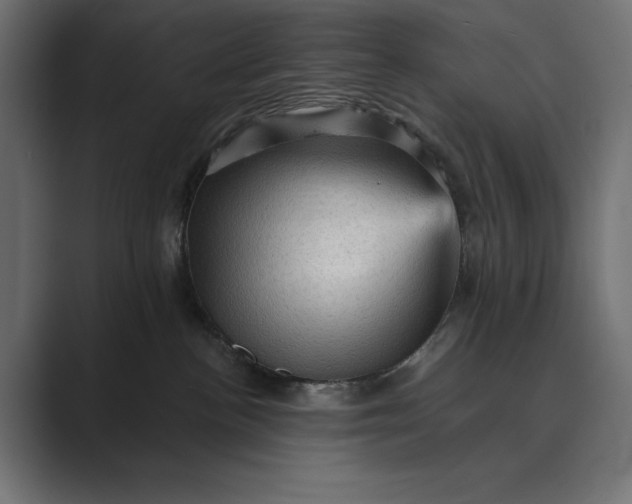X0000089380188200706291323
