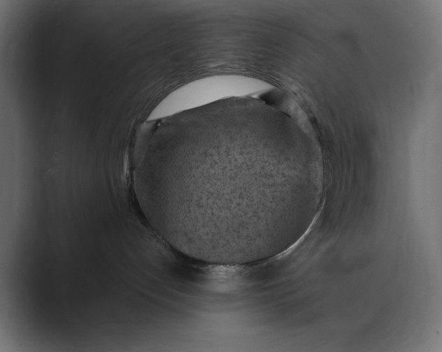X0000089380192200706291323