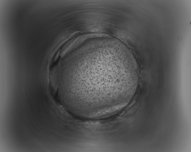 X0000089380194200706291323