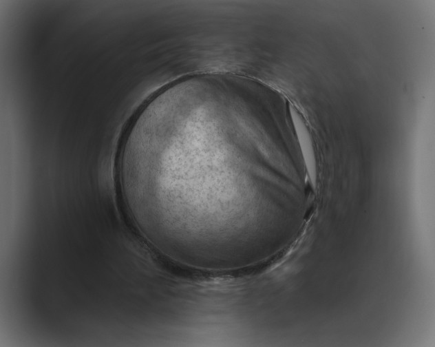X0000089380196200706291323