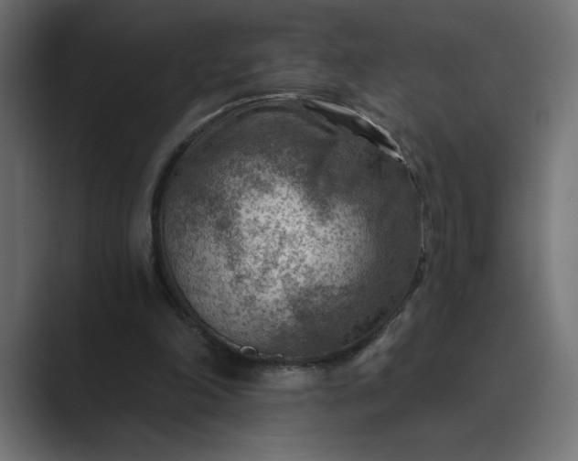 X0000089380198200706291323