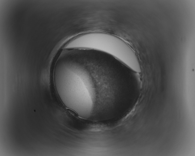 X0000089380200200706291323