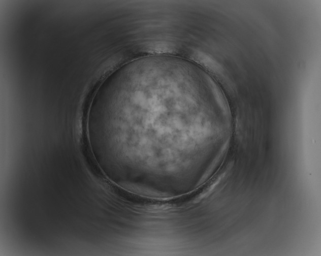 X0000089380202200706291323