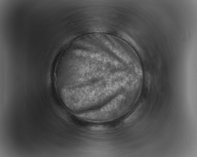X0000089380203200706291323