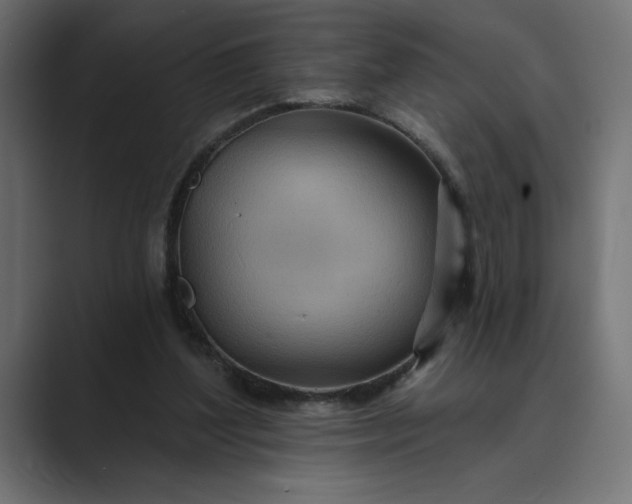 X0000089380204200706291323