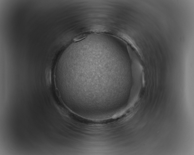 X0000089380205200706291323