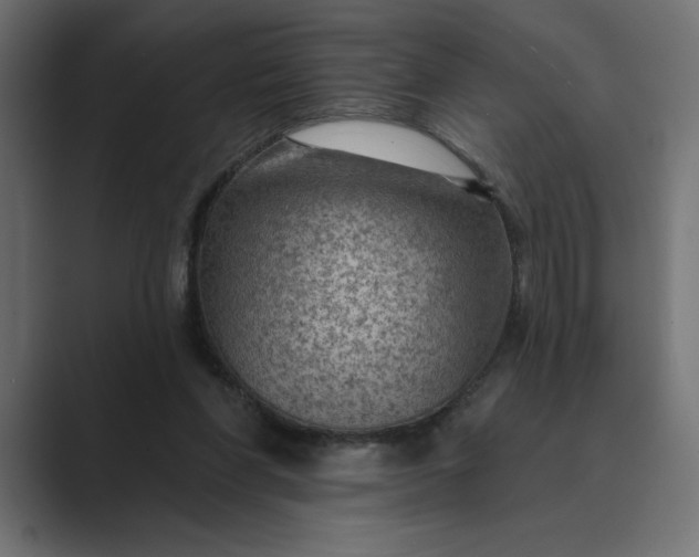 X0000089380206200706291322