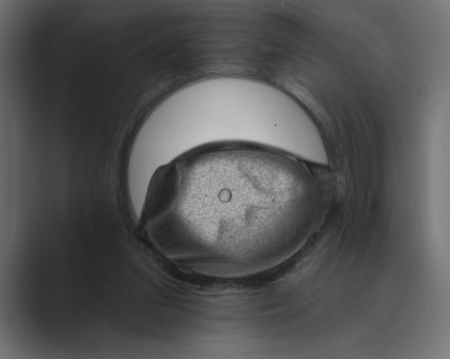 X0000089380207200706291322