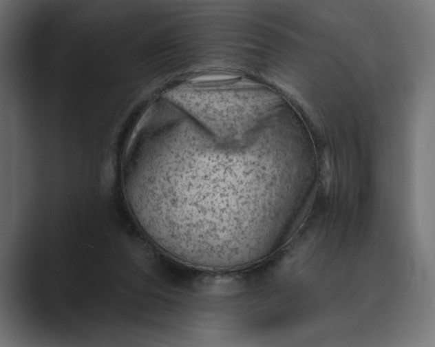 X0000089380208200706291322