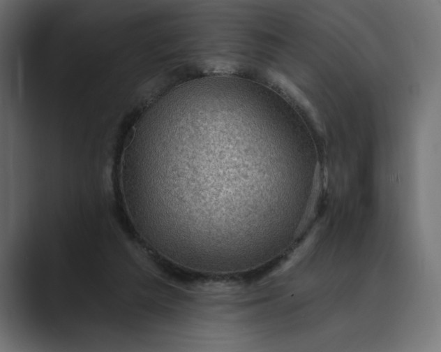X0000089380209200706291322