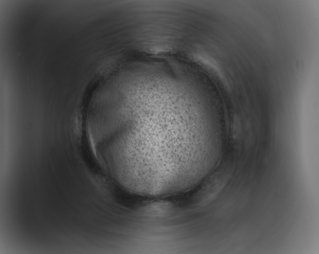 X0000089380210200706291322