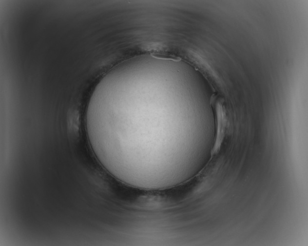X0000089380211200706291322