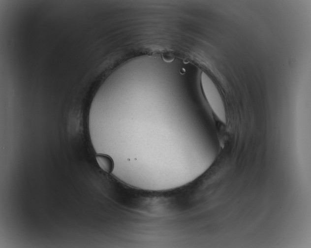 X0000089380212200706291322