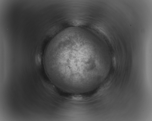 X0000089380214200706291322